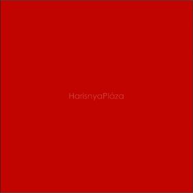 ROSALIA 40 den microfibra har., red 2