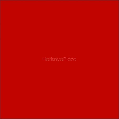 ROSALIA 40 den microfibra har., red 2